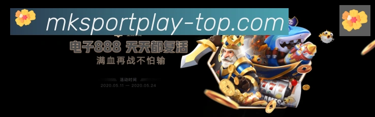 未来规划